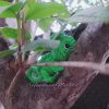 Cute Pascal the Chameleon – Crochet Toy - Image 4